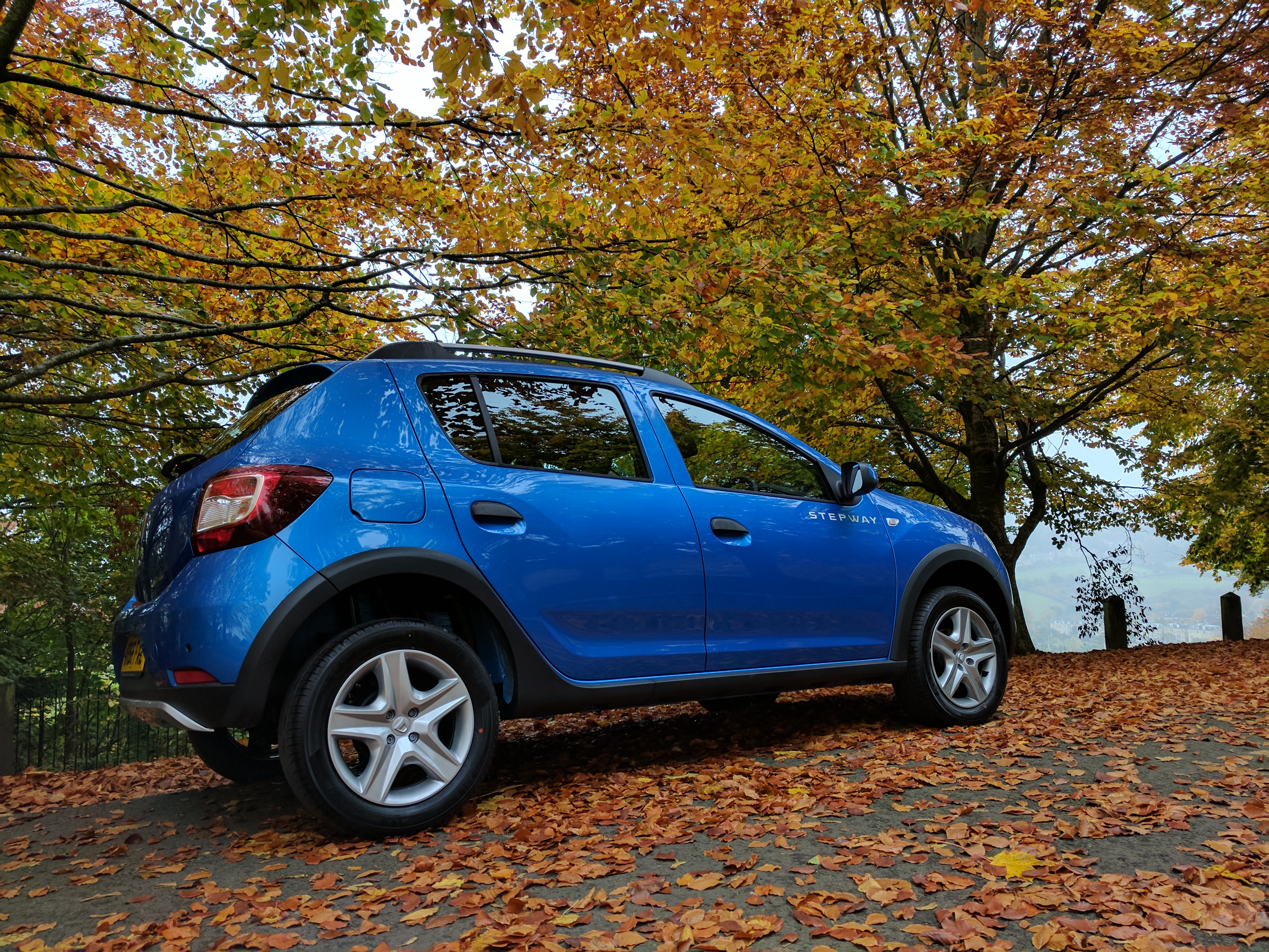 Professional Car Cleaning